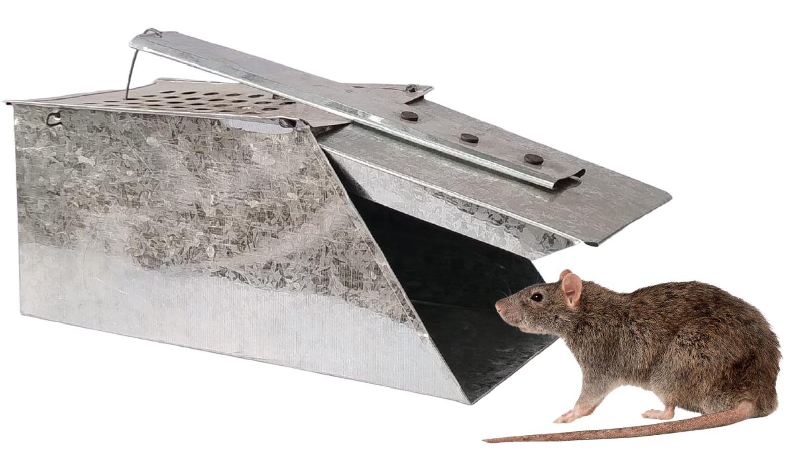 JRP Rat Trap/Mouse Trap Rodent Catcher Big Size Iron Pinjra for Home and outrdoor use-image-36