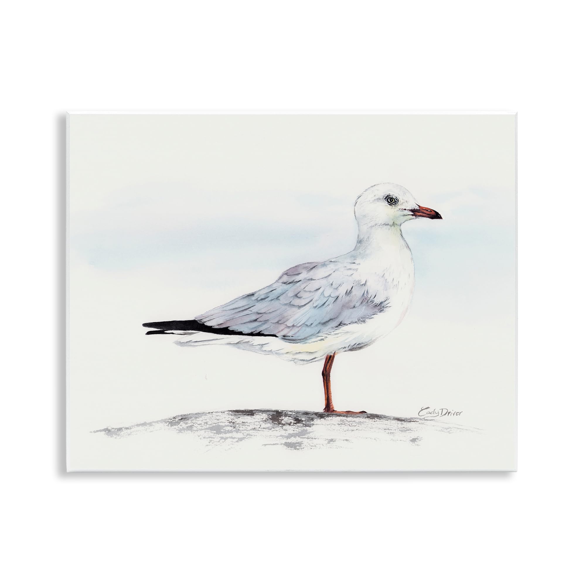 Stupell Industries Seagull On Sand Portrait Wall Plaque Art, design by Cady Driver, 11 x 14