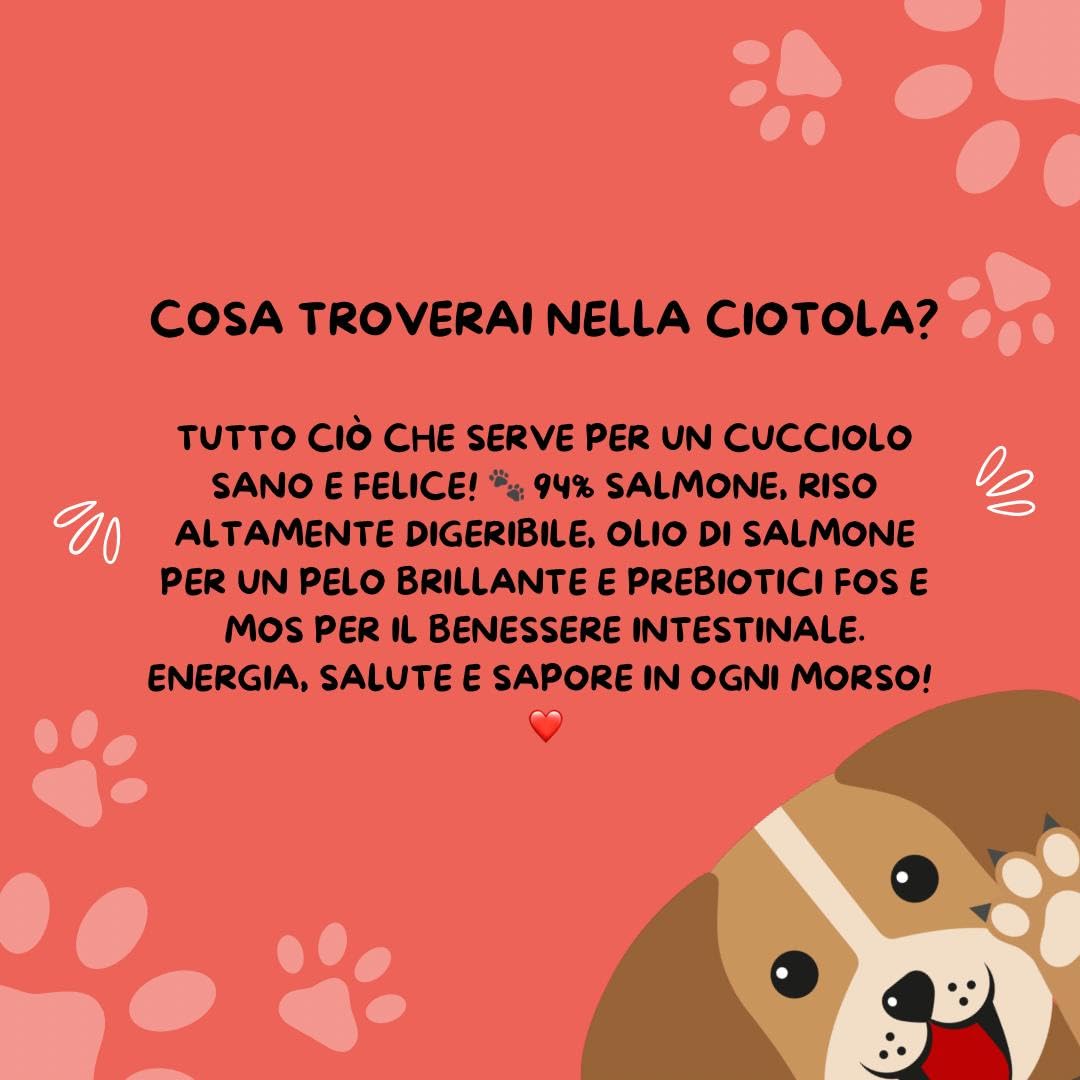 Puppy Aldog húmedo perro sabor salmón, paté para perros cachorros de todos los tamaños y razas, alimento completo para perros cachorros | 6 latas de 400 gramos cada una.