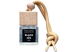 Personalized Car Defuser: A Dashing Addition for Delightful Drives