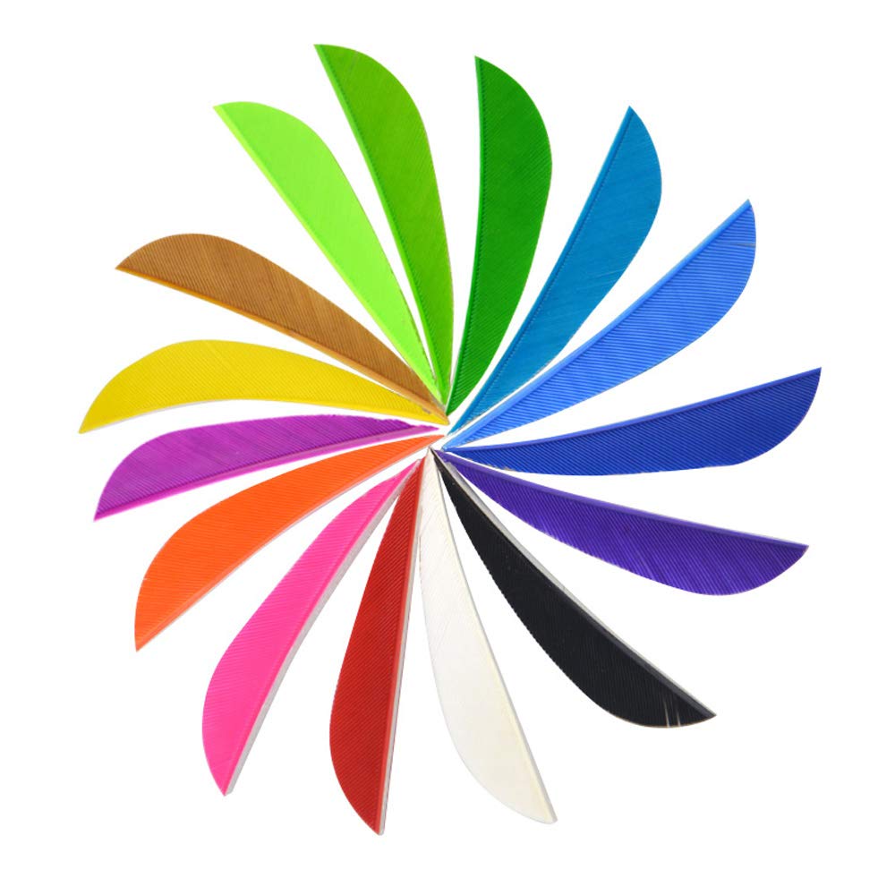 SHARROW 50 Piume Per Frecce Da Arceria - Piume Naturali 5 Pollici Ala Destra Per Frecce In Legno, Carbonio O Bambù - Foto 2