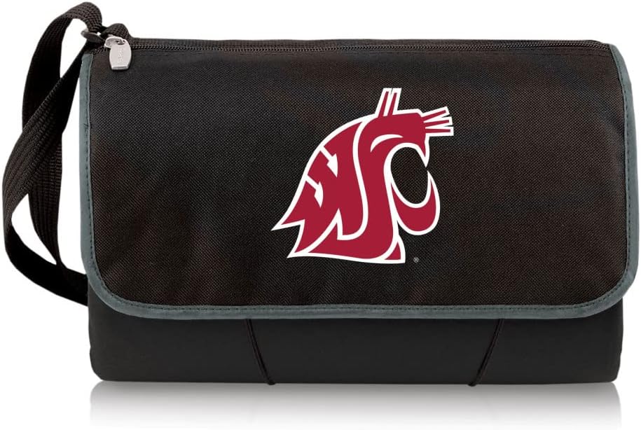 PICNIC TIME NCAA Contemporary