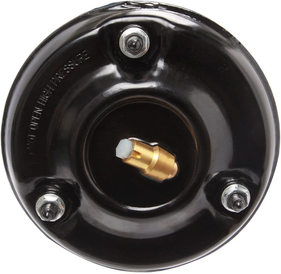 Front Air Suspension Strut Assembly for Mercedes-Benz S430 2000-2006 S500 2000-2006 S55 AMG 2001-2006 Replace 2203202438 220320243880 220320243860