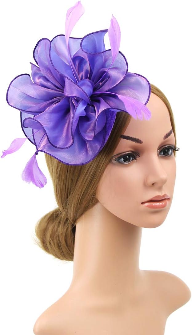 DRESHOW Fascinators Hat Tea Party Headwear Ribbons Feathers on a Headband and a Clip for Women - Image 2