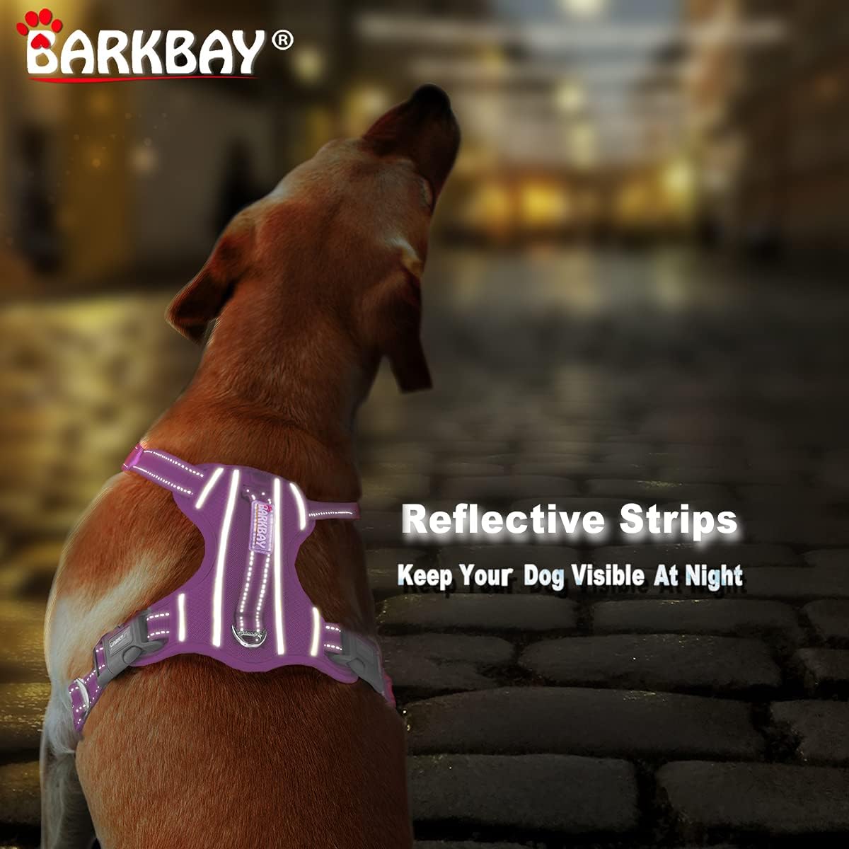 barkbay harness