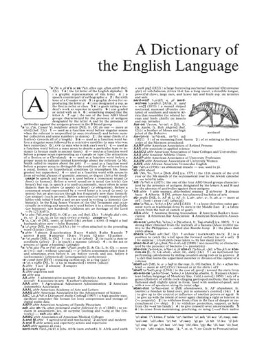 Merriam-Webster 9780877798095 S Collegiate Dictionary thumb #14