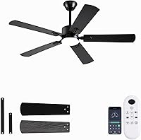 FUMLTP 52 Inch Black Ceiling Fan with Lights - Reversible DC Motor, 6 Speeds, APP/Remote Control, Low Profile for Indoor/Outdoor Use