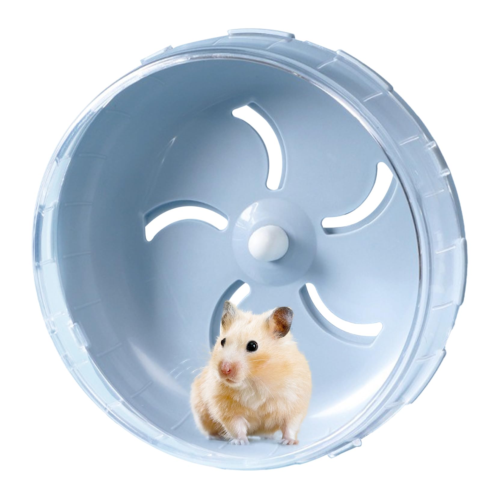 Myiosus Rueda Hamster Silenciosa - 20cm Rueda para Hamster, Rueda para Hámster, Rueda Ejercicios para Mascotas para Hamster Gerbil Conejillo de Indias (Azul)