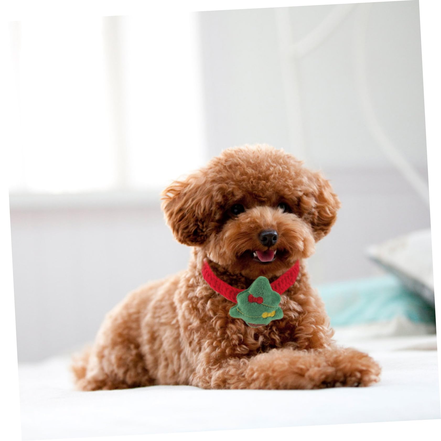 BESPORTBLE Collier de Noël Tricoté pour Chat Ajustable pour Chiot Collier pour Animal de Compagnie avec Noeud