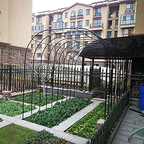 Arche de jardin stable pour guider vos plantes grimpantes extérieures