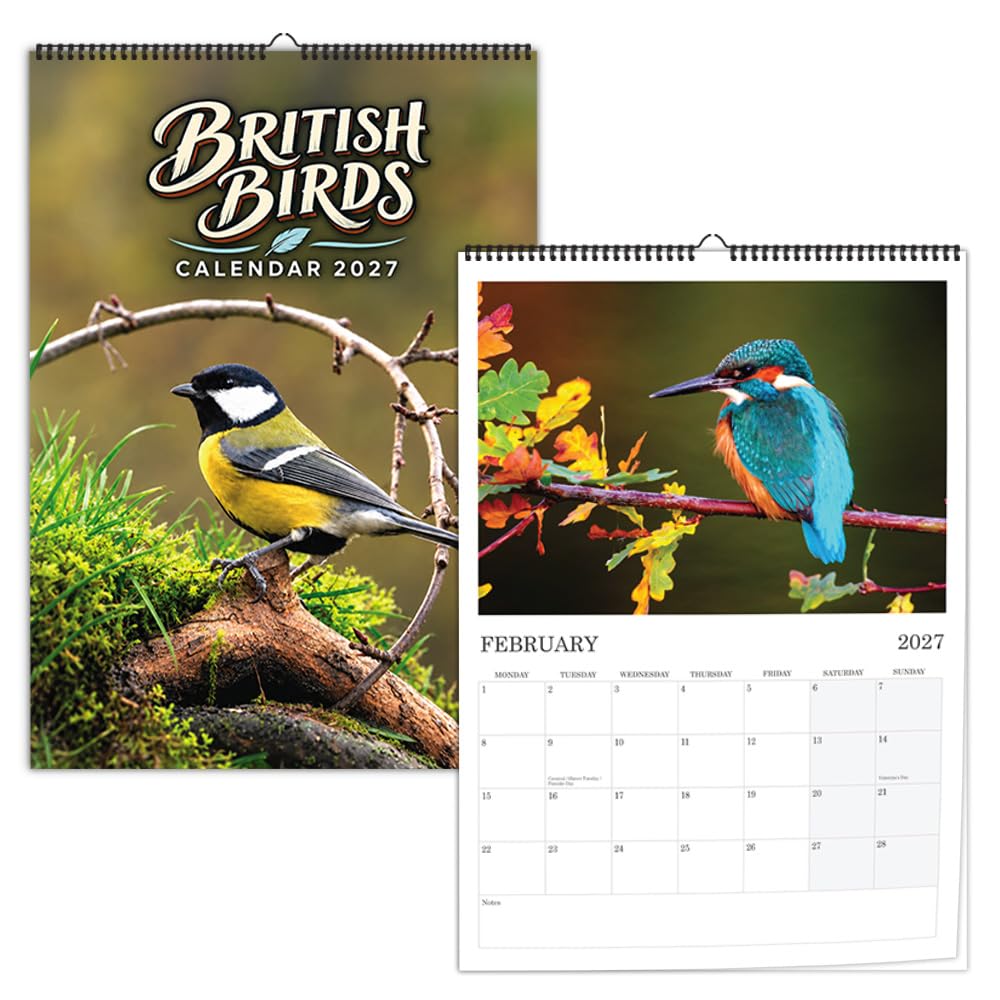 British Birds Calendar 2027 Bird Calendar Wall Calendar โ image 1