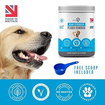 PlaqueExx Plaque And Tartar Remover For Dogs And Cats - Takes Plaque
