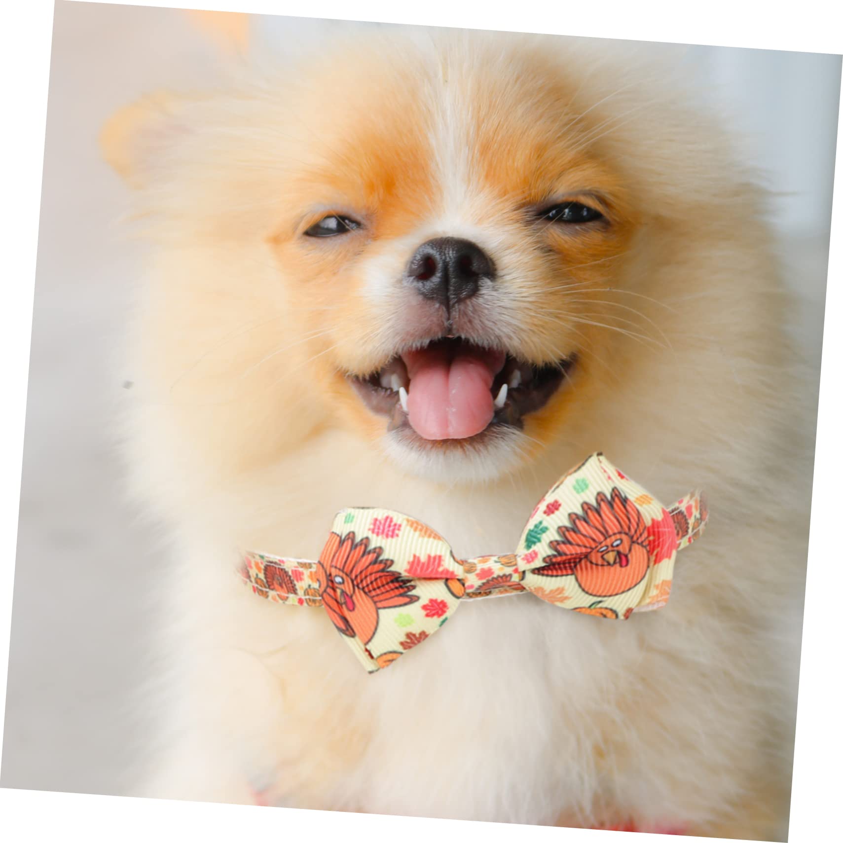 minkissy 10pièces Colliers Ajustables pour Animaux avec Nœud De Accessoires De Mode pour Et Chiens Thème Thanksgiving