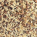 Cover Crop Seed Mix Organic - Pollinator & Bee Friendly Cover Crop Mix - 1 lb ~6,800 Seeds - Clover Cover Crop Blend - Includes Hairy Vetch Cover Crop Seeds, Crimson Clover, Peas, & Oats
