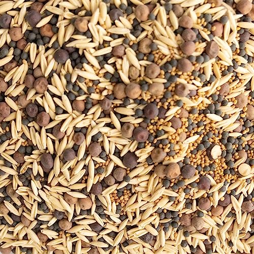 Cover Crop Seed Mix Organic - Pollinator & Bee Friendly...
