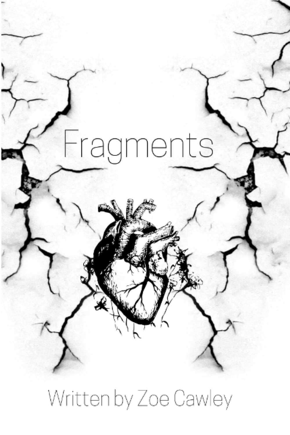 Fragments