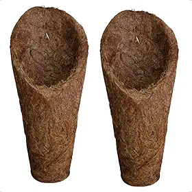 Vaso Cone Concha M Médio de Fibra de Coco, Cachepot para Pendurar, 21x7,5cm, Natural, para Orquídeas e Xaxim (2)