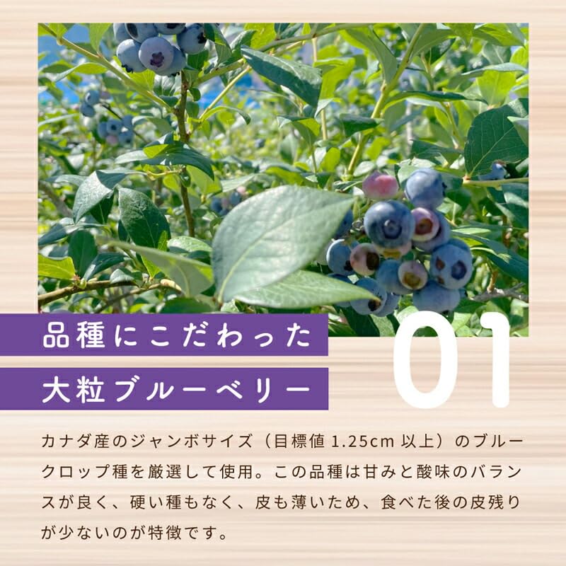 Amazon | 【冷凍】Delcy ブルーベリー 大粒 180g×4個 自然解凍 ブルー