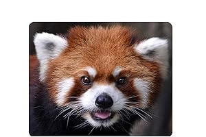 Panda Mouse Pad: Unmatched Gaming Precision