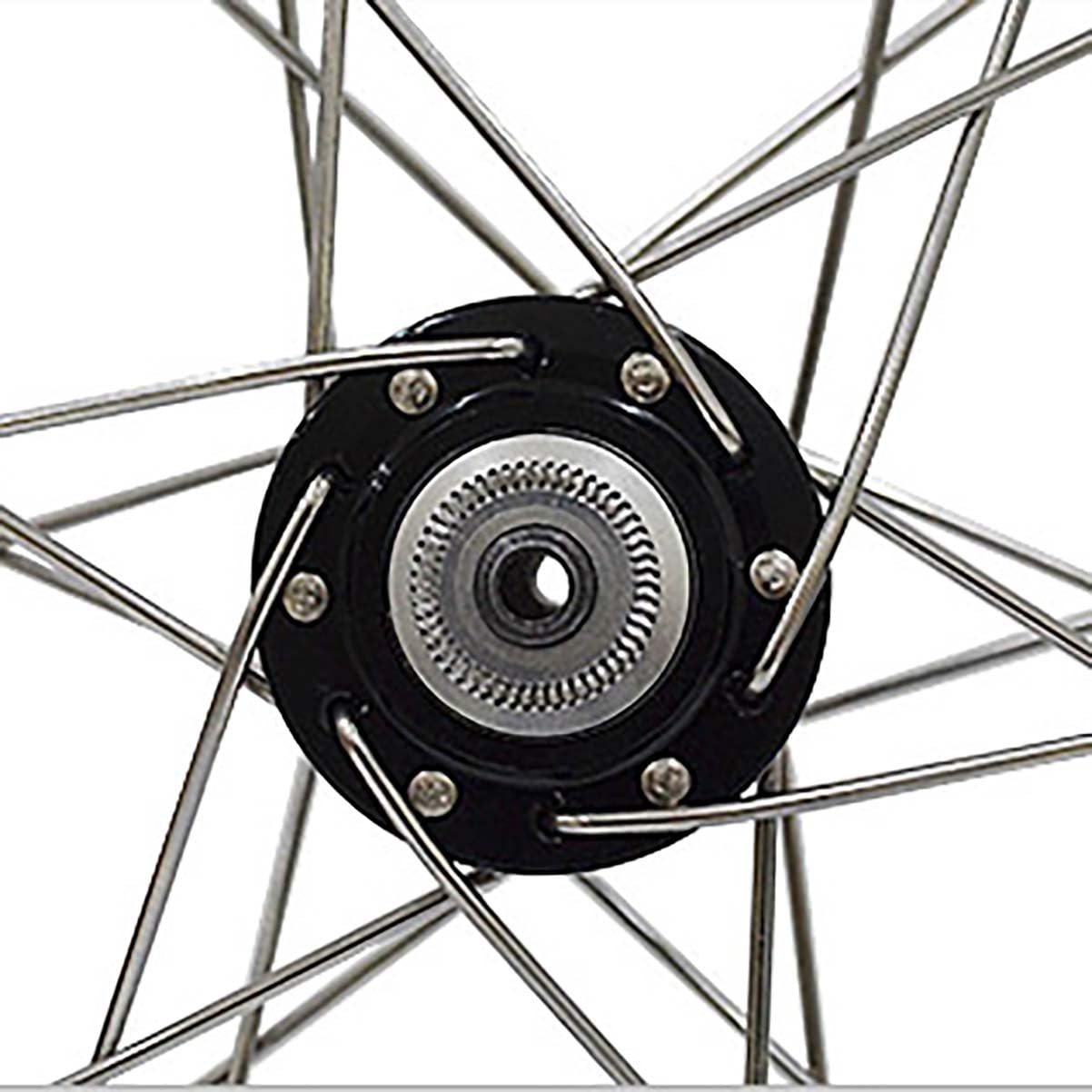 Amazon.co.jp: BMX フロントホイール 20インチ Vブレーキ 24H