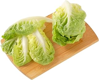 Little Gem Lettuce - Lactuca Sativa 'Little Gem' Vegetable Seeds, Also Known as Sucrine Mini Romaine Lettuce Home Garden Planting by Heirloom Garden, 500 Seeds