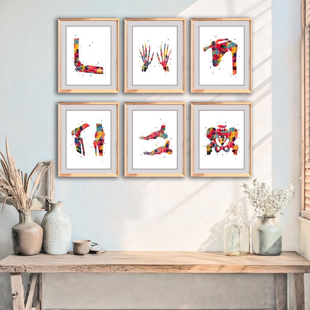 Watercolor Human Skeleton Anatomy Bones Illustration Poster Set for Biology Classroom Display, Lab Chiropractic Medİcal Office Learning Wall Skeleton Study Desk Physical Therapy Science Wall Art, Med Student Orthopedist Teacher Science Enthusiast Graduation Gifts - 8x10 Unframed Poster Set