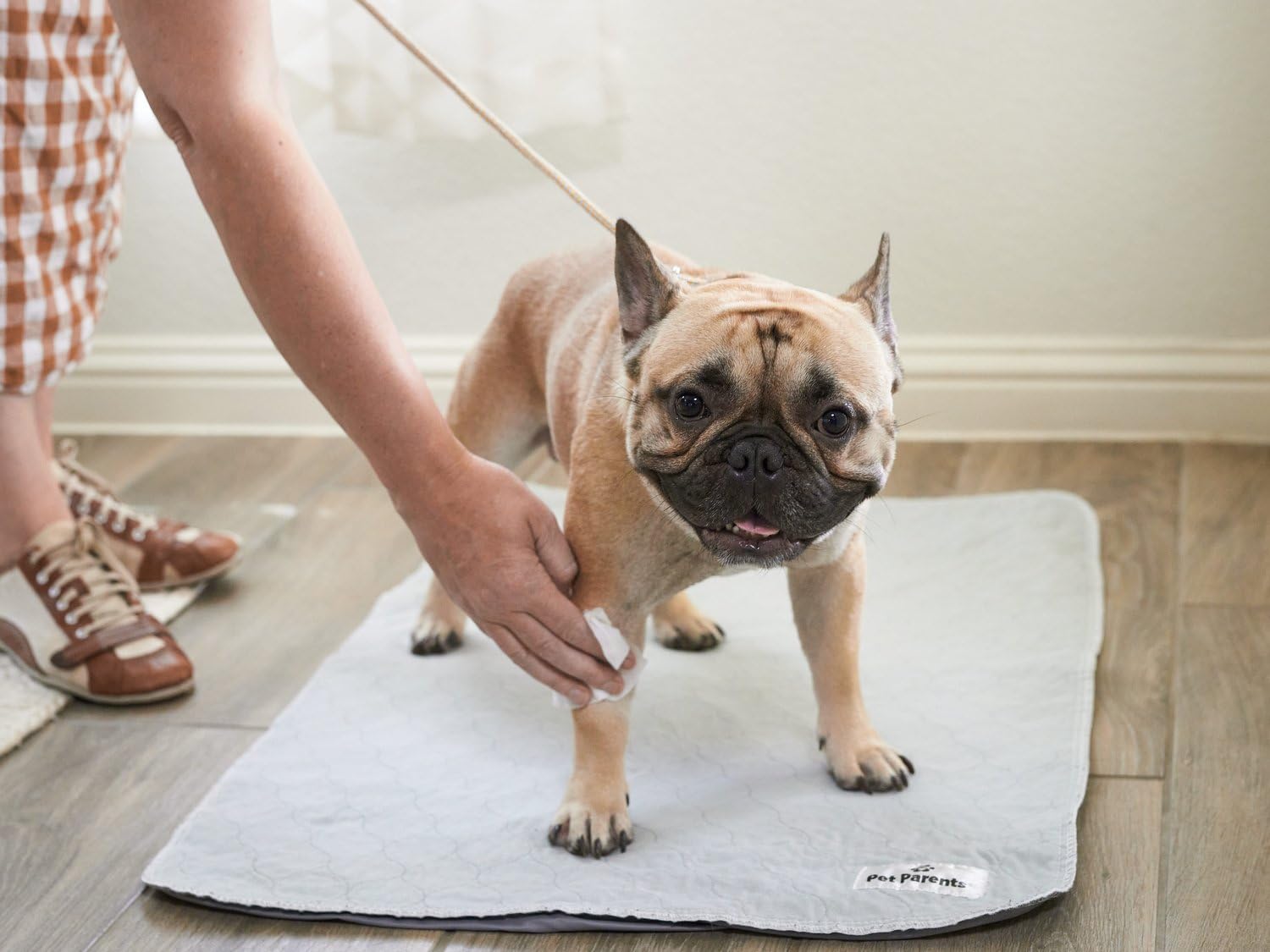 Pet Parents® Pet WiPees™ - Toallitas multiusos para perros + alergias, toallitas para mascotas, toallitas para cachorros, toallitas para patas y perros, toallitas para perros grandes (100 unidades