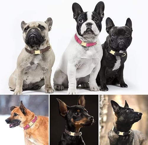 Miniatura 2 de Beirui Collar de cuero genuino para perro con hebilla de metal de liberación rápida, cómodo collar de cuero para perros pequeños, medianos y