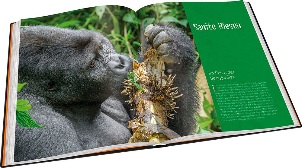 Perle Afrikas: Faszination Uganda