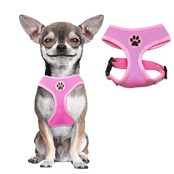 mesh dog harness