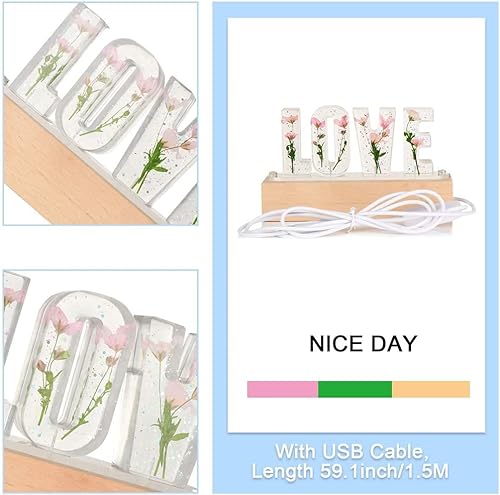 Miniatura 7 de gors Luz nocturna LED de flor eterna personalizada, letra USB, lámpara decorativa seca para amante, esposa, novia, regalo (3 letras)