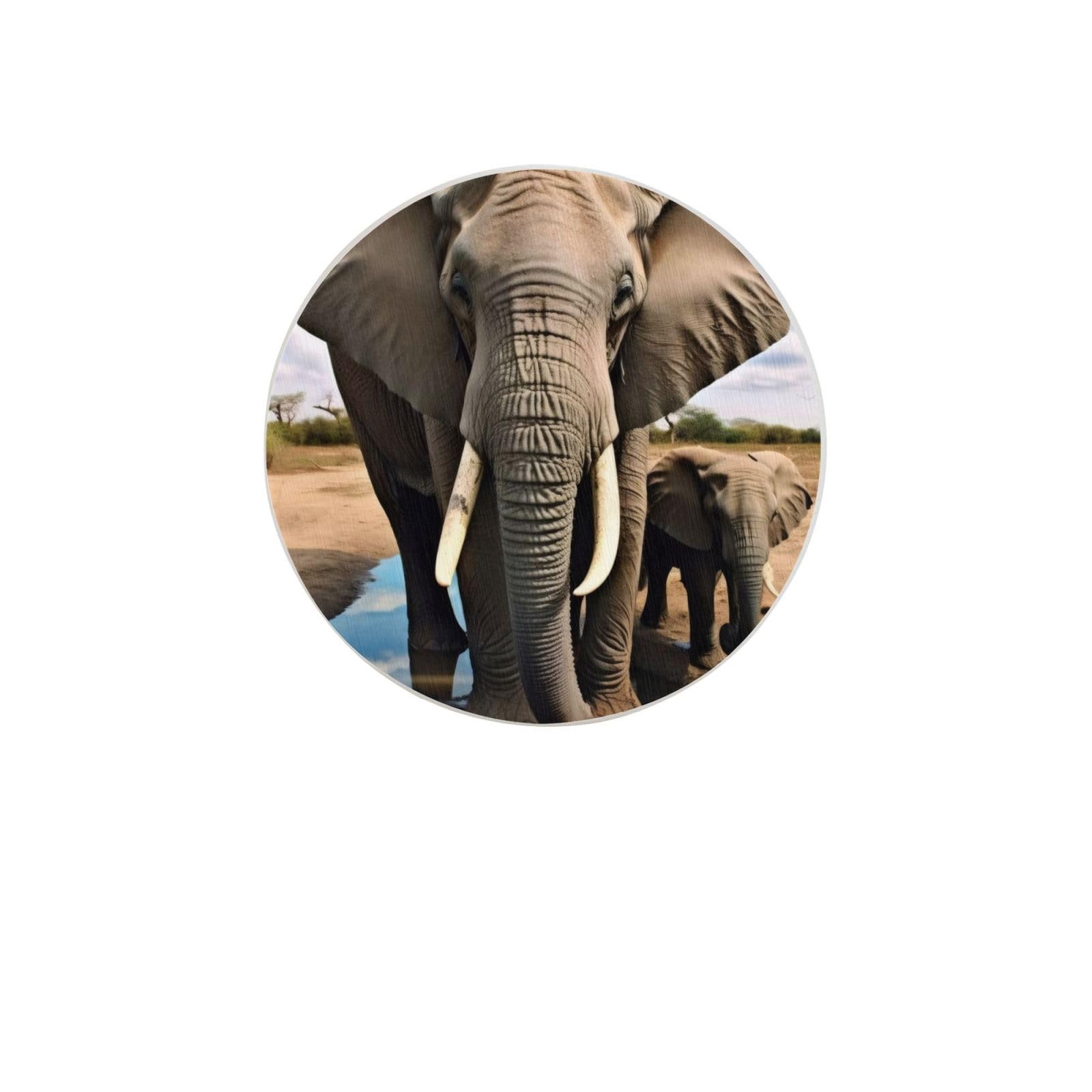 African Wild Animals Elephant Absorbent Drink Coasters Diatomaceous Round Coaster 4 Inch Reusable Cup Coasters Set 4pc