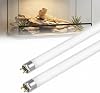 8W T5 UVB Light 10.0 UVA Terrarium Hood Bulb(300mm/12 Inch) Provides Full Spectrum G5 2-Pin Strip Lights Fittings for Vivarium Bearded Dragons Tortoises Lizards Chameleons Desert Reptiles 2 Pack