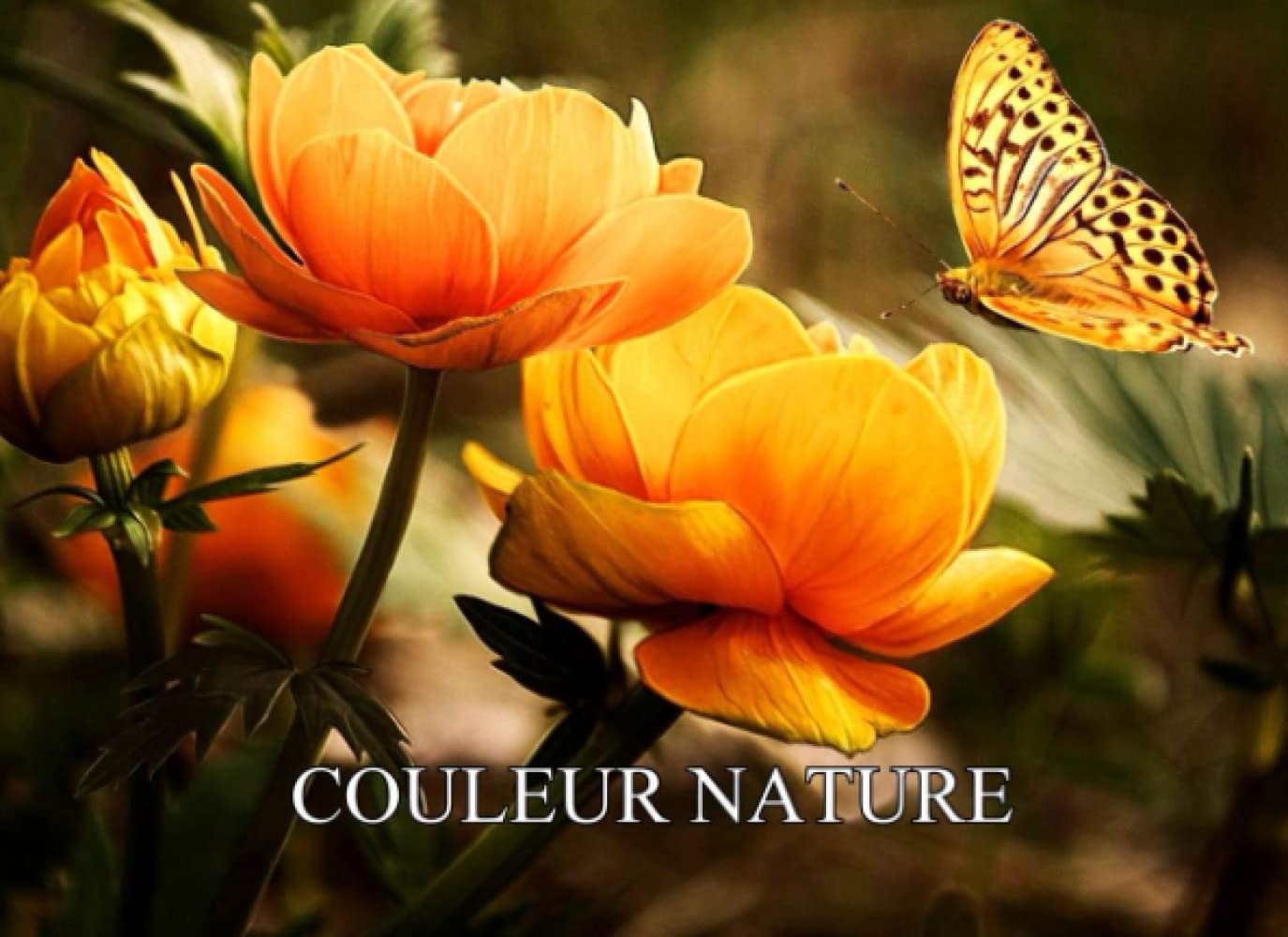 COULEUR NATURE (French Edition)