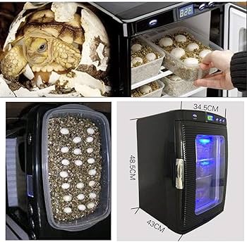 Amazon | TAKIMI爬虫類インキュベーター 自動孵卵器 ポータブル AC110V