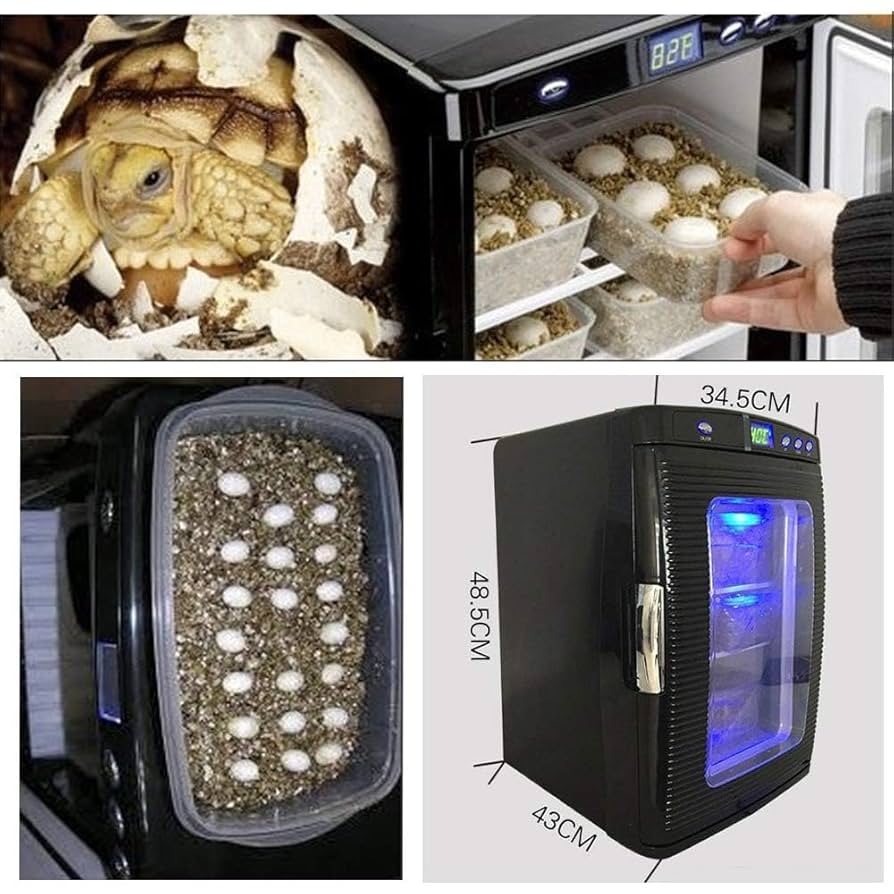 インキュベーター 冷温庫 爬虫類 孵卵器 飼育 WH-154 動作確認済み Amazon | 爬虫類インキュベーター 自動孵卵器 爬虫類・両生類