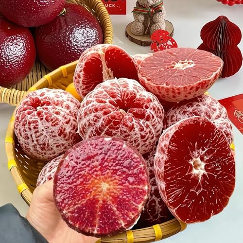 orangenbaum kaufen - winterharte zitrus dekoration wohnzimmer bio alte sorten hänge 200samen