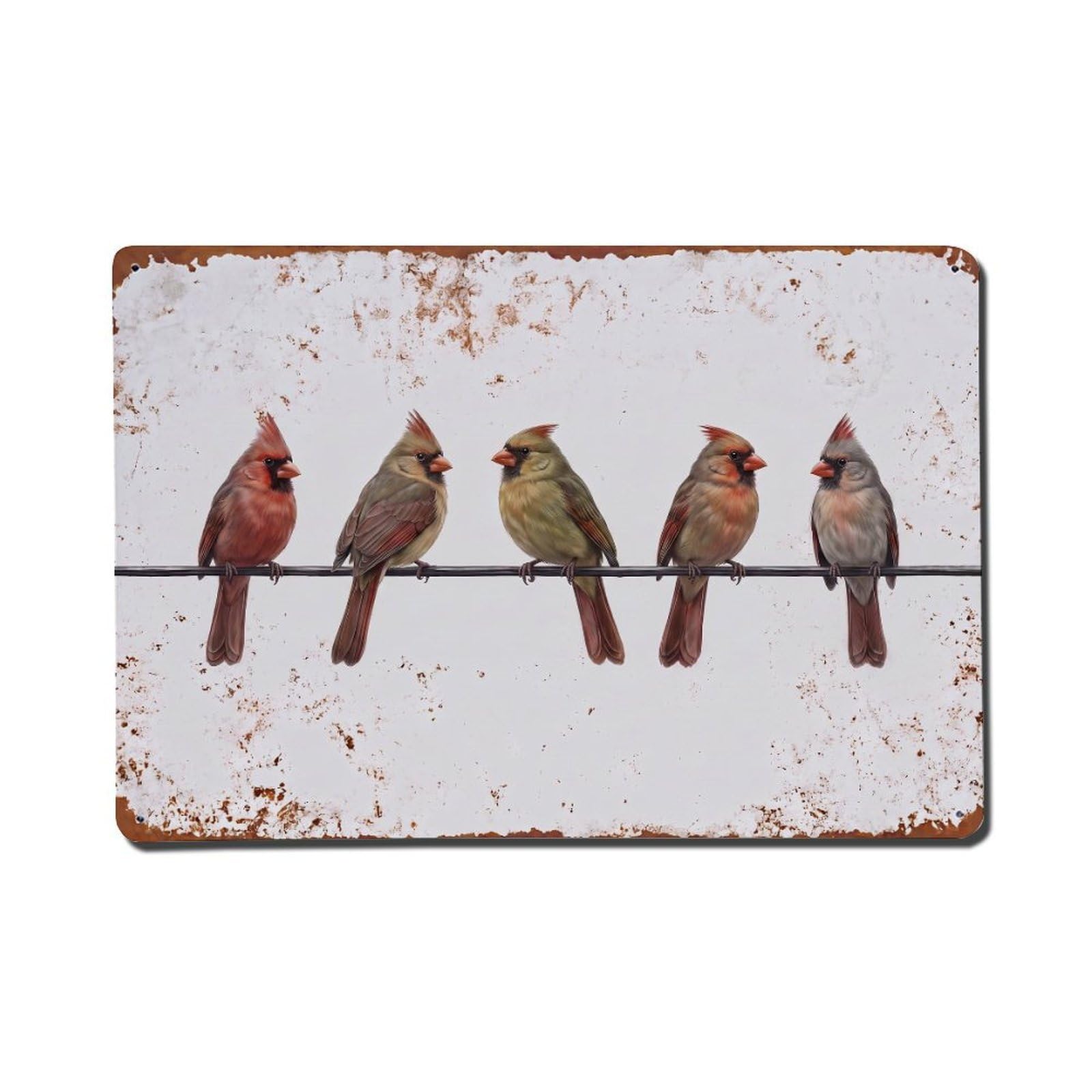 Vintage Retro Birds Northern Cardinal Metal Tin Sign