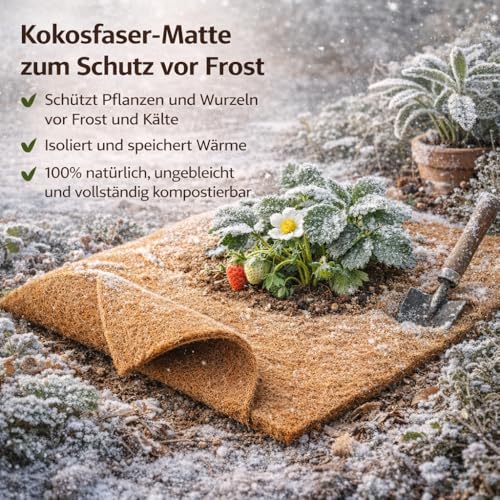 MW.Shop.24 Kokosmatte 100% Biologisch Winterschutz für Pflanzen Kälteschutz in 25cm / 50cm / 75cm /100cm (Breite) - (Meterware) Garten (25cm x 1m)