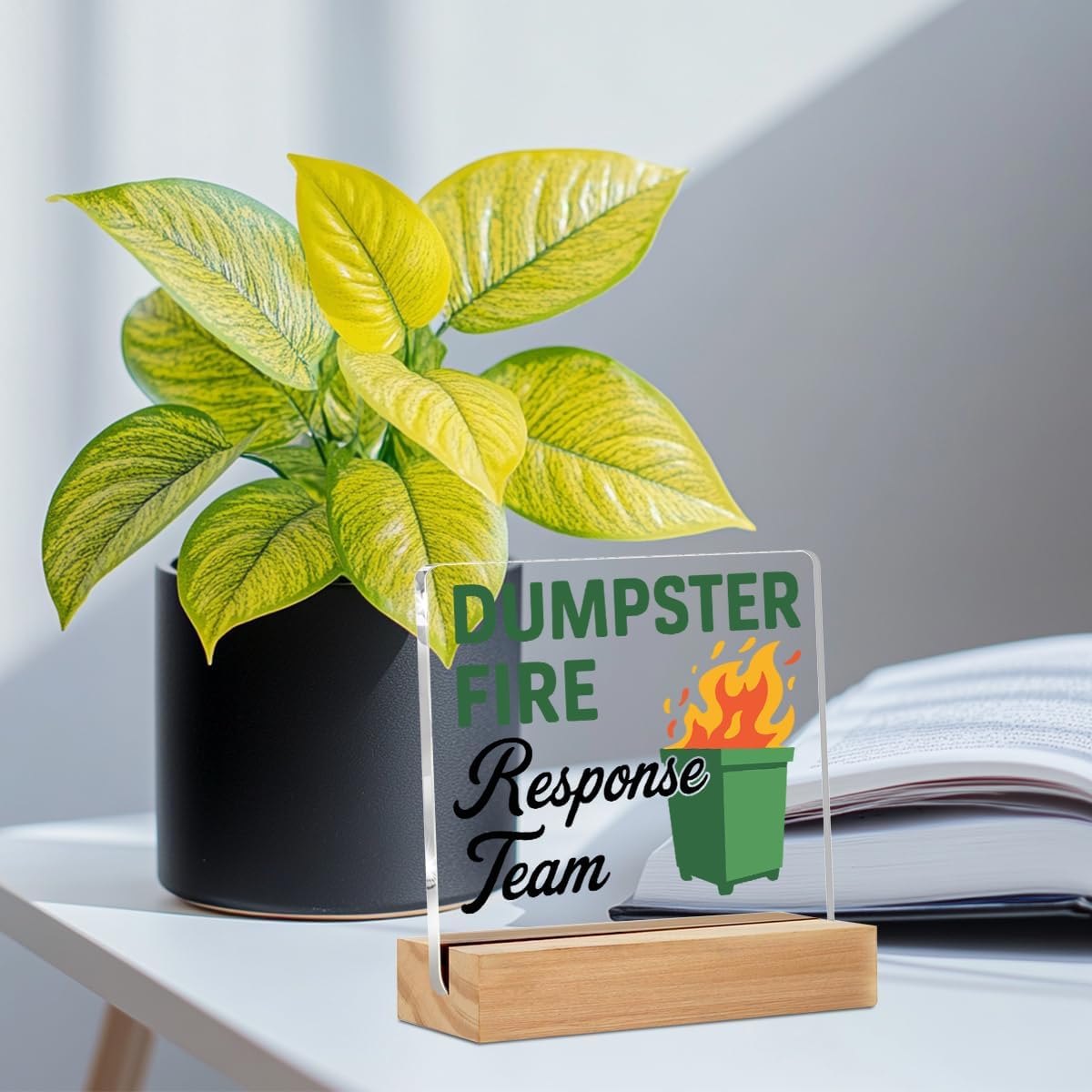 Dumpster Fire Desk Accessories, Funny Office Gifts for Women Men Coworkers image 3