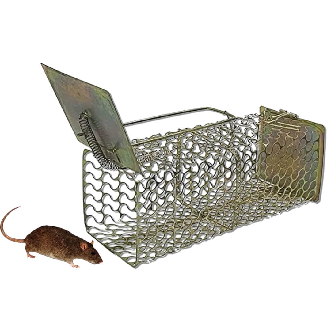 Handycraftshila Rat, Rodent, Mouse Trap/Catcher Iron Big Size - Ultimate Solution to All Rat Problems (Medium, 1) (B0CQ2ZVW37) Amazon Price History, Amazon Price Tracker
