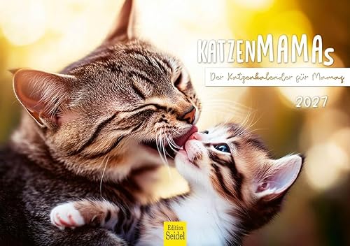 Edition Seidel Premium calendrier mamans chats 2027 Format DIN A5. Calendrier mural allemand chats pour mamans beaux images superbes phrases animaux de compagnie chatons matou