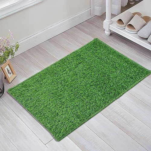 Image of Door Mats for Home | Door Mats for Home Entrance | Door Mat for Bathroom| Soft & Super Absorbent Mats for Shower | Washable, Non-Slip & Quick-Drying Mats (Pack of 2) (Green)