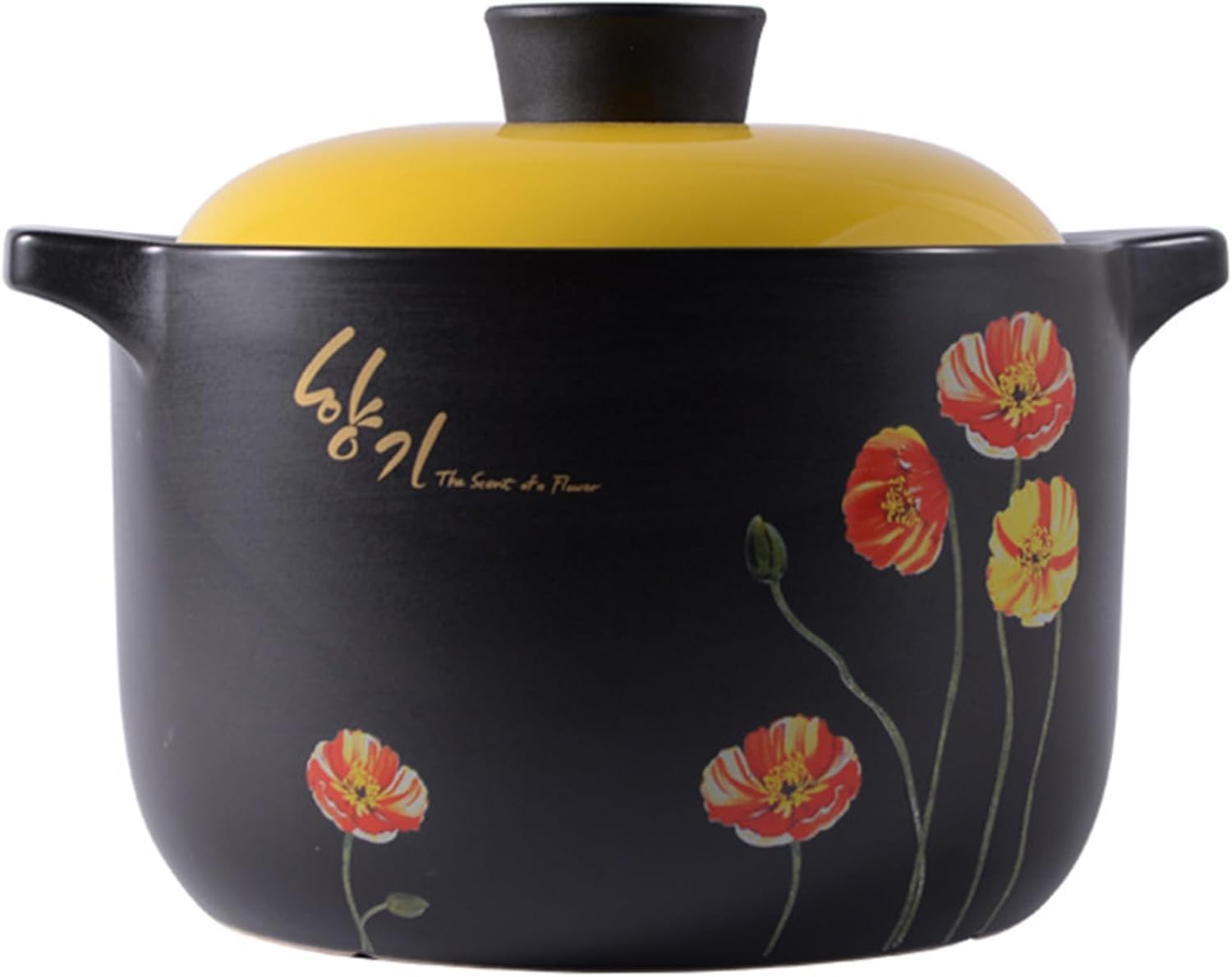 Cocotte en Céramique 5,5 L : Ne ratez plus vos mijotés grâce à sa faïence