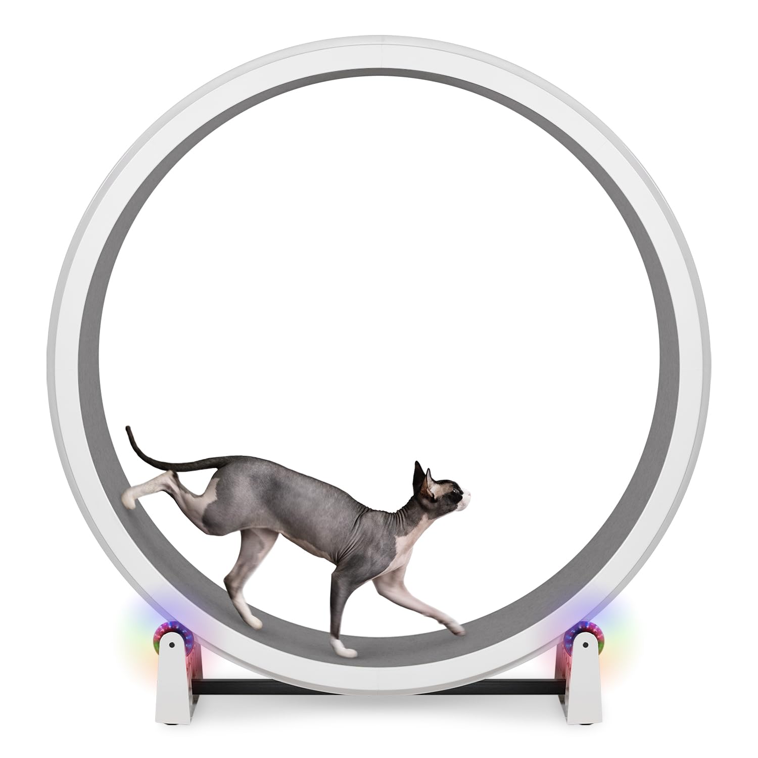 One Fast Cat Exercise Wheel, Gen 7, Safe 48” Diameter, Made in the USA