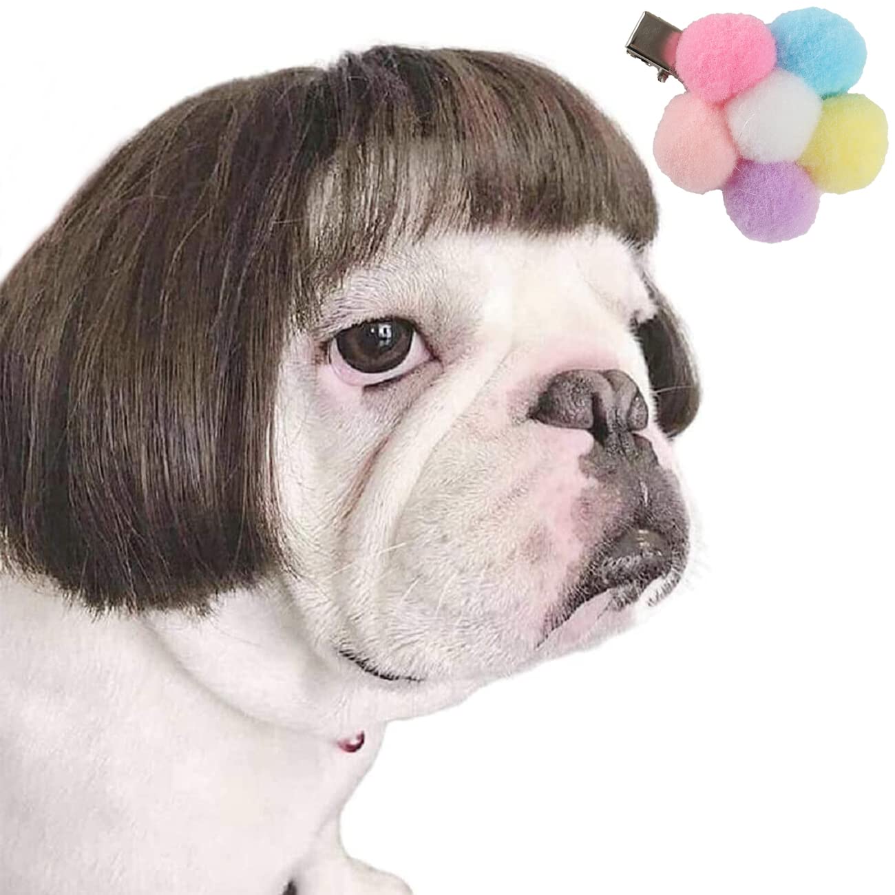 weird dog costume