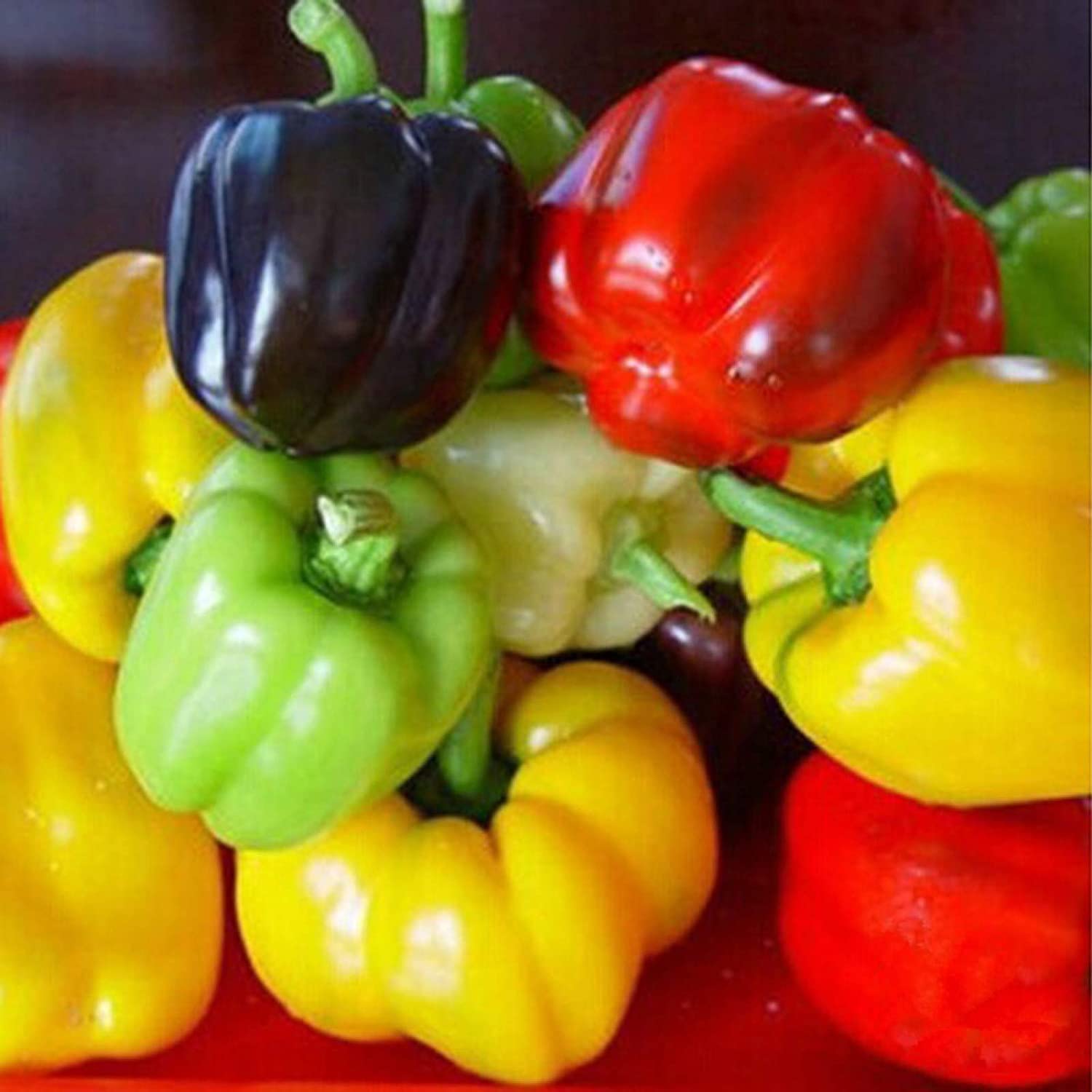 VibeX Mixed Color Capsicum Seeds-300 Seeds (B0B9Z2R6BY) Amazon Price History, Amazon Price Tracker