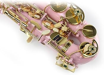Amazon.co.jp: アルトサックス楽器、プロフェッショナル演奏楽器、真鍮