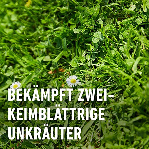 Compo Rasenunkrautvernichter Banvel® Quattro AF 1000ml – Ansicht 3