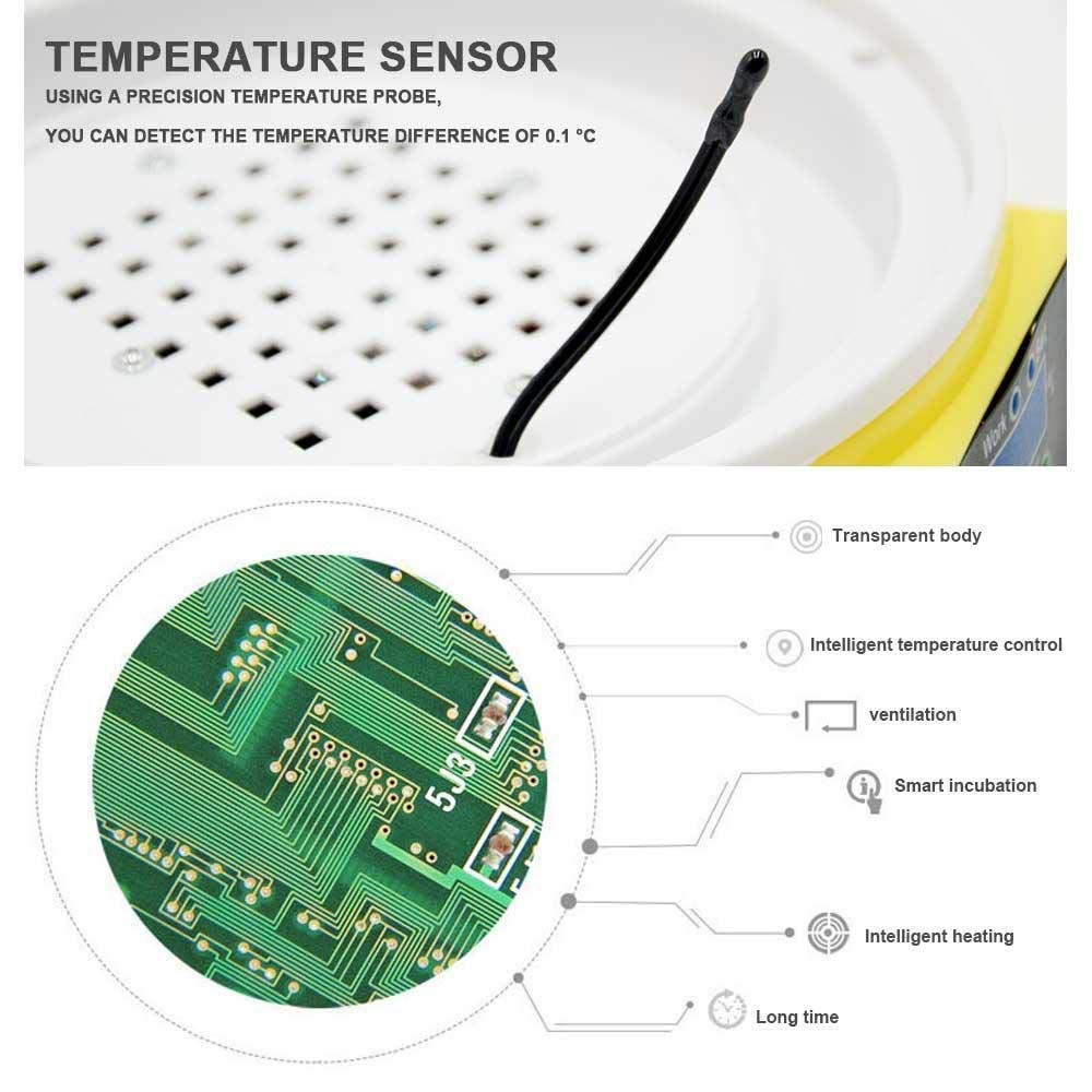 Mini Incubadora De Huevos, con Control Automático De Temperatura, Digital, para Aves De Corral, Patos, Pollos Y Palomas.